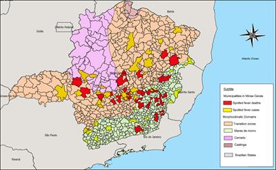 Spotted Fever in the Morphoclimatic Domains of Minas Gerais State, Brazil